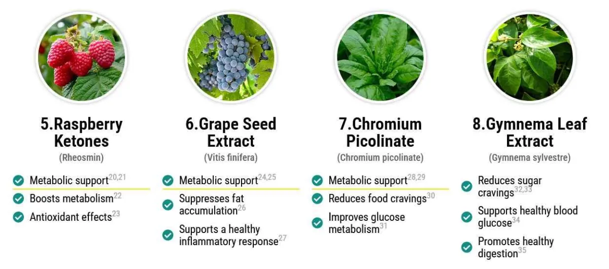 wildburn ingredients1