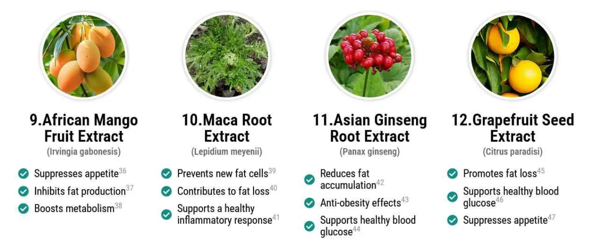 wildburn ingredients3